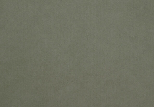 Ткань ALCANTARA SHAPE A261