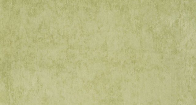 Ткань BENTLEY PLAIN 49