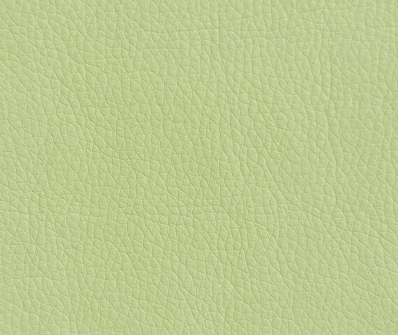 Ткань Oregon 33