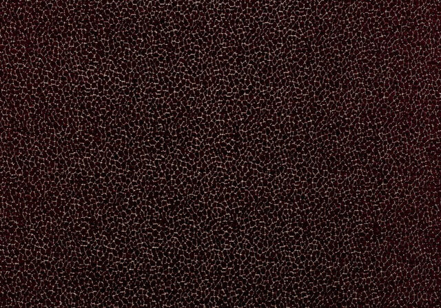 Ткань TORTUGA 12